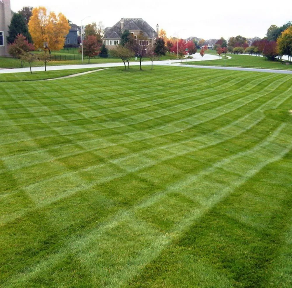 Reliable landscaping services with custom design in Witter, AR by Personal Lawn And Yard Services