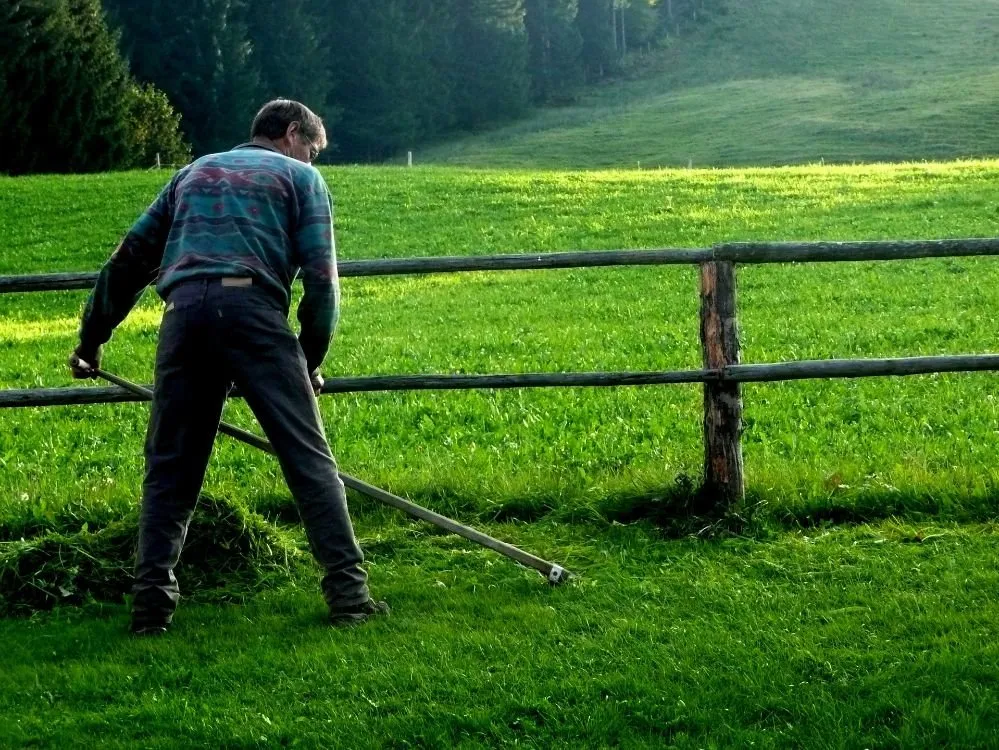 Affordable residential landscaping in Witter, AR by Personal Lawn And Yard Services
