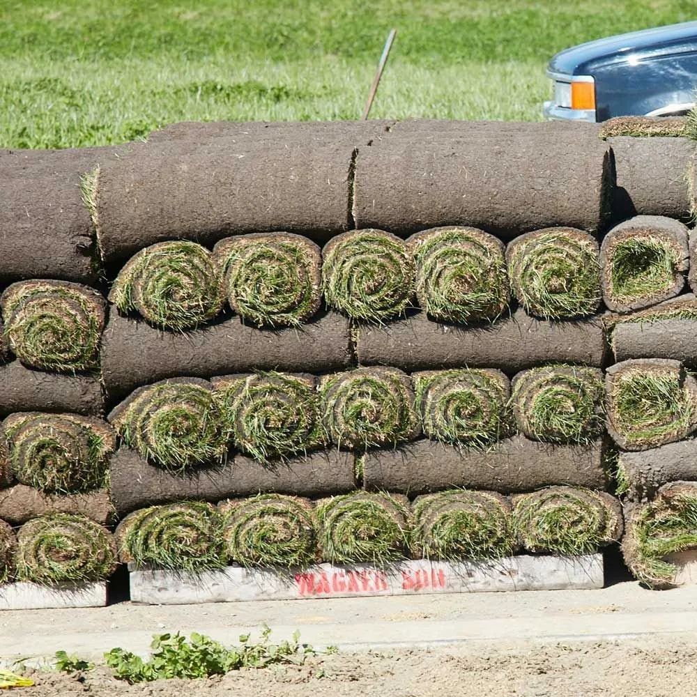 Reliable landscape installation for year-round maintenance in Witter, AR by Personal Lawn And Yard Services