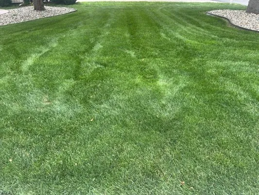 Personal Lawn Care Logo