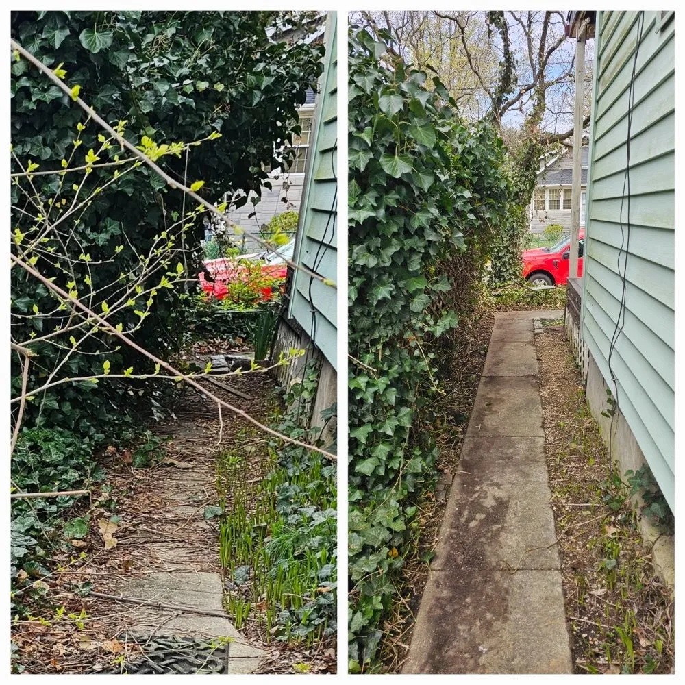 Top-rated residential landscaping for year-round maintenance across Clementon, NJ - Personal Lawn Solutions