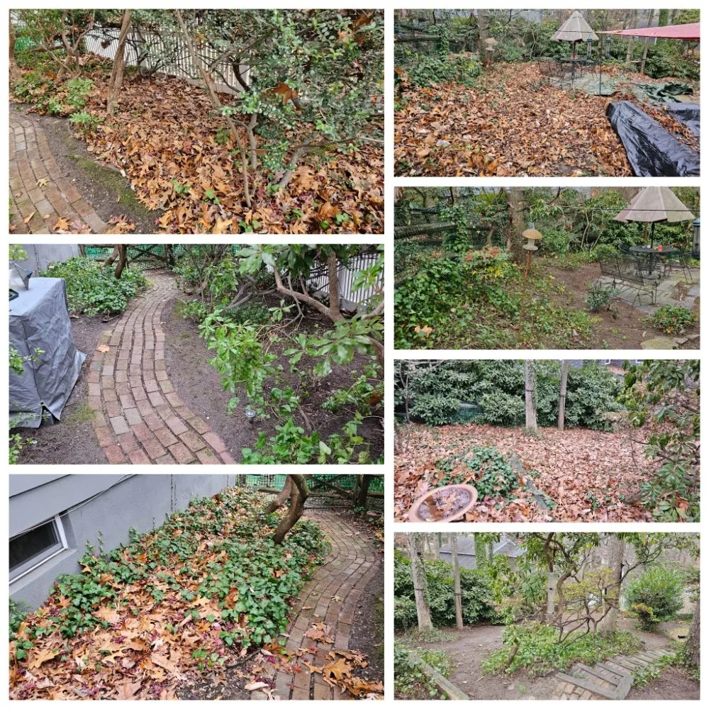 Reliable landscaping services in Clementon, NJ by Personal Lawn Solutions