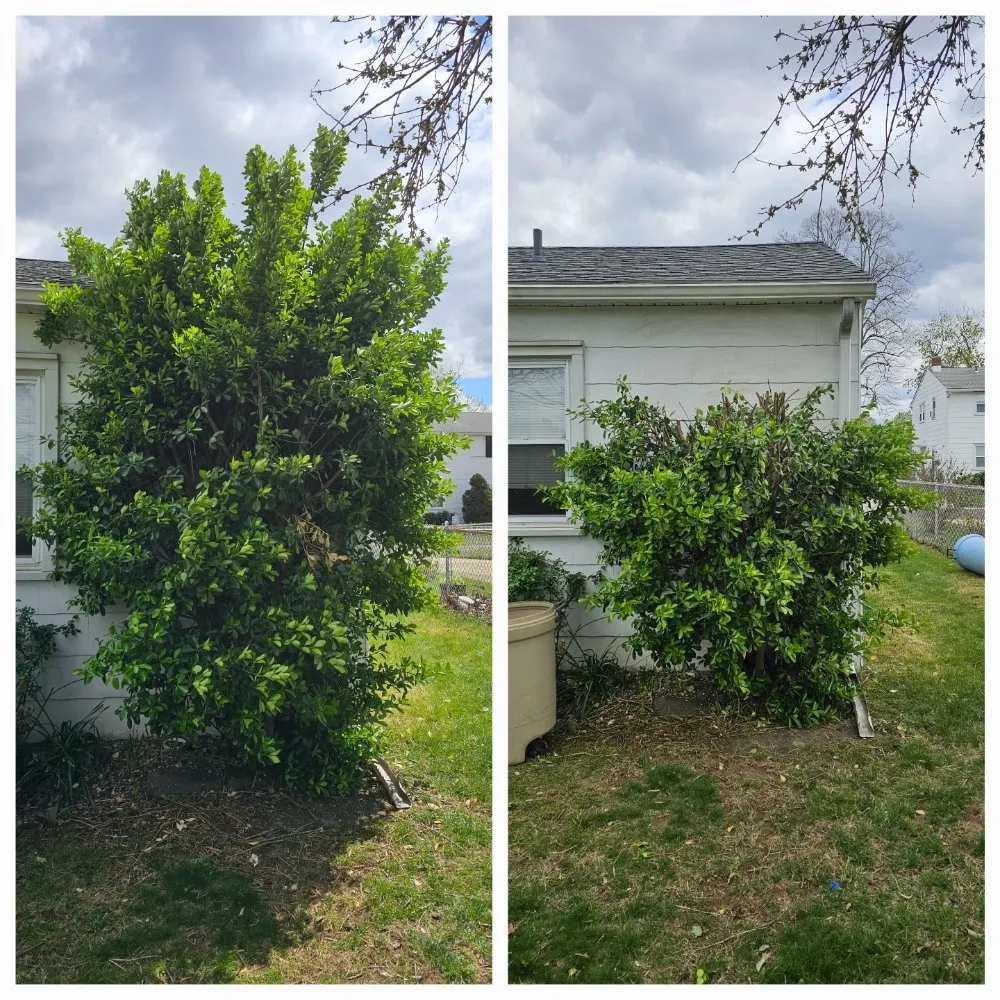 Reliable landscape installation in Clementon, NJ - Personal Lawn Solutions