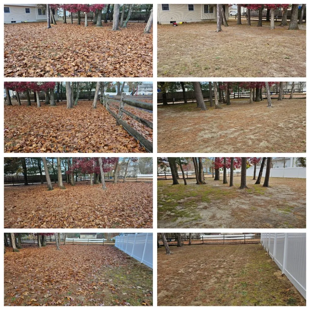 Affordable landscape installation experts serving Clementon, NJ - Personal Lawn Solutions