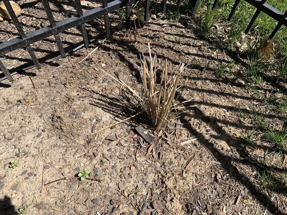 Trusted yard maintenance for homes across Highland, IL - Personal Preference Landscape Care