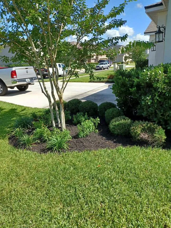 Reliable residential landscaping for year-round maintenance in Middleburg, FL by Personal Touch Gardening