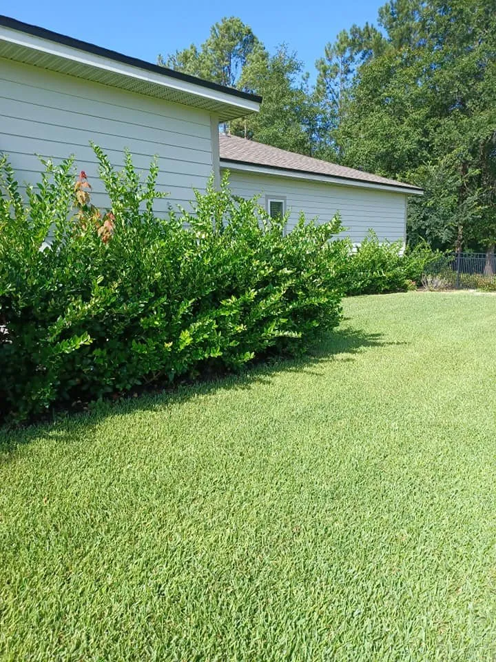 Top-rated outdoor landscaping in Middleburg, FL - Personal Touch Gardening