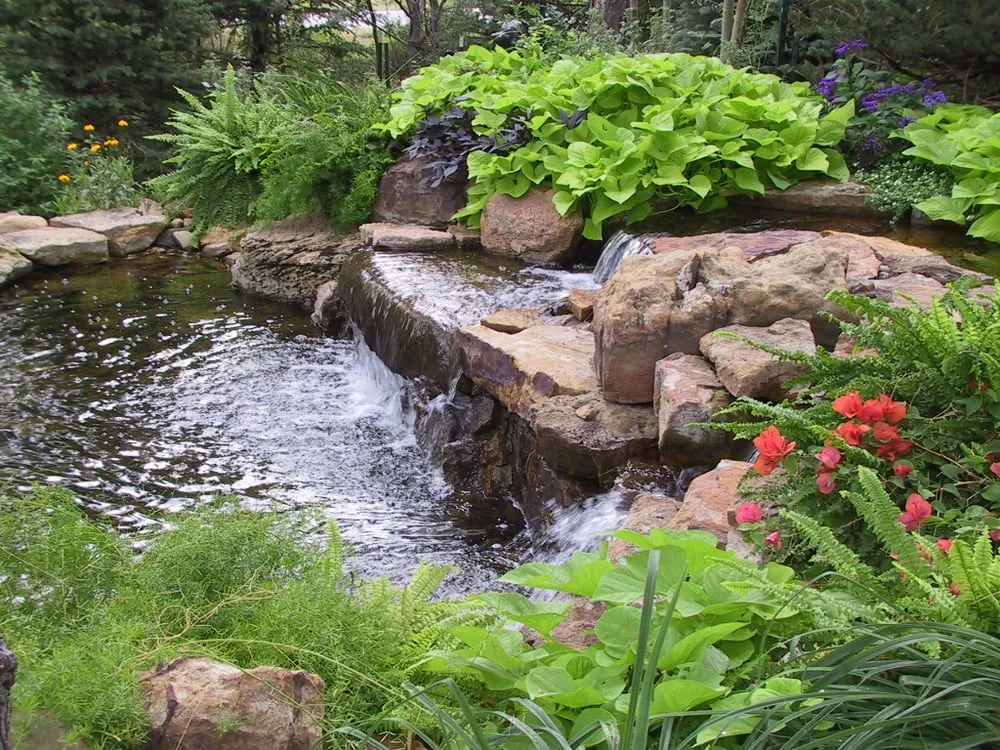 Reliable landscaping services experts serving Colorado Springs, CO - Personal Touch Landscape & Gardening