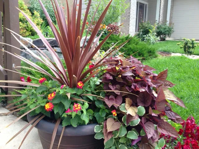 Professional lawn mowing service with custom design across Colorado Springs, CO - Personal Touch Landscape & Gardening