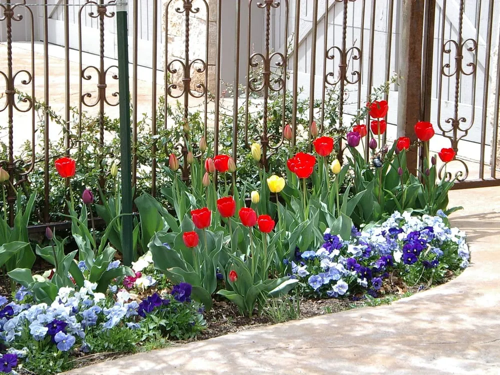 Trusted yard cleanup service for homes across Colorado Springs, CO - Personal Touch Landscape & Gardening