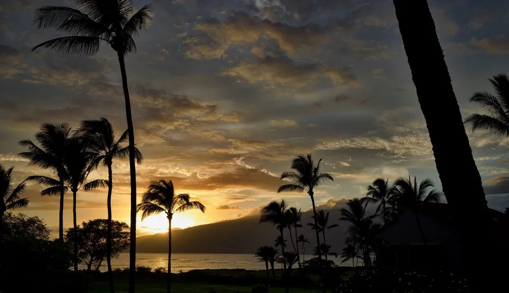 Reliable landscape design for beautiful yards in Honolulu, HI by Personal Touch Landscape