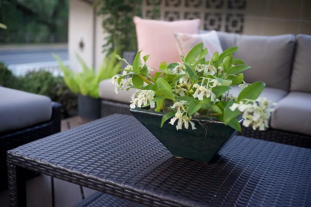 Top-rated garden landscaping in Honolulu, HI - Personal Touch Landscape