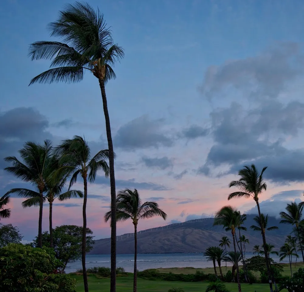 Local landscape design in Honolulu, HI - Personal Touch Landscape