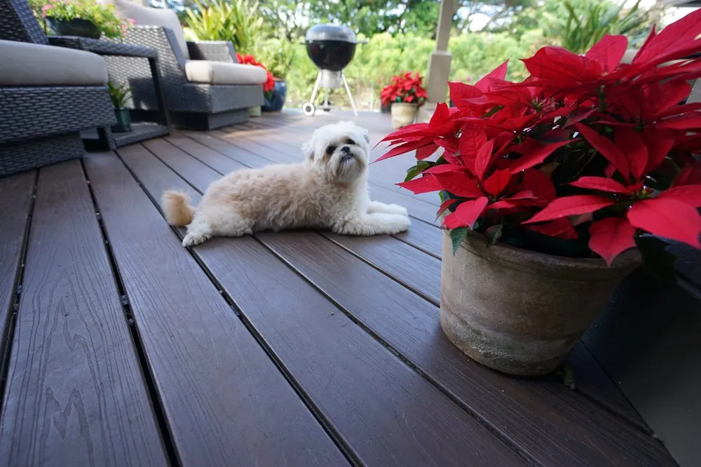 Custom lawn care service in Honolulu, HI by Personal Touch Landscape