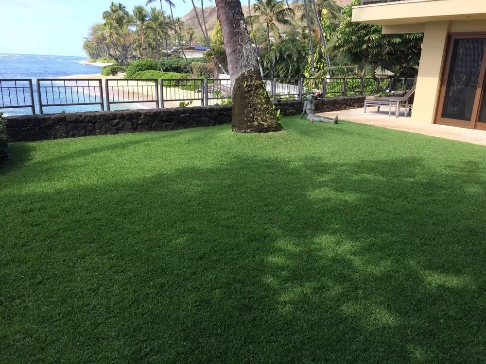 Professional yard cleanup service for year-round maintenance across Honolulu, HI - Personal Touch Landscape