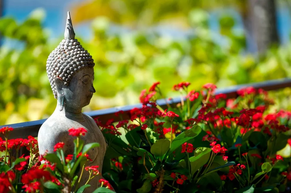 Expert lawn care service experts serving Honolulu, HI - Personal Touch Landscape