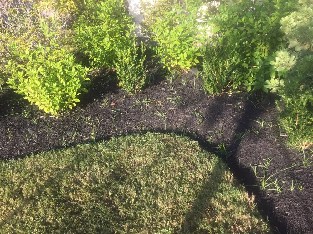 Top-rated yard maintenance in Katy, TX - Personal Touch Landscape