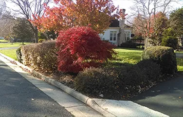Trusted yard cleanup service experts serving Manassas, VA - Personal Touch Landscape Services