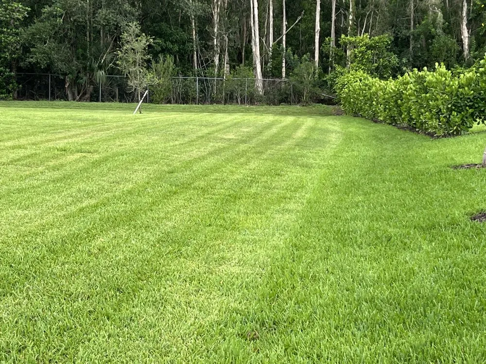 Affordable landscape design for residential properties in Fort Myers, FL by Personal Touch Landscaping and Lawn Services
