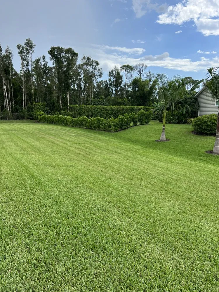 Professional landscaping services near you across Fort Myers, FL - Personal Touch Landscaping and Lawn Services