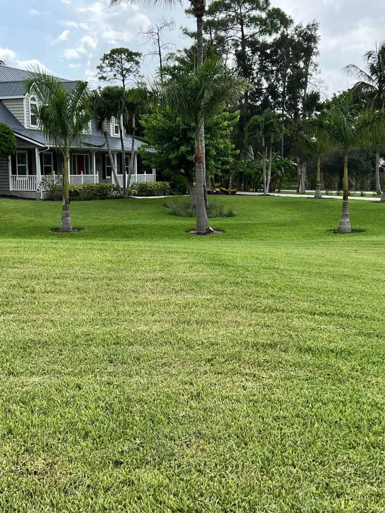 Local lawn care service in Fort Myers, FL by Personal Touch Landscaping and Lawn Services
