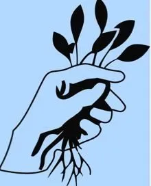 Professional outdoor landscaping in Urbana, OH - Personal Touch Landscaping