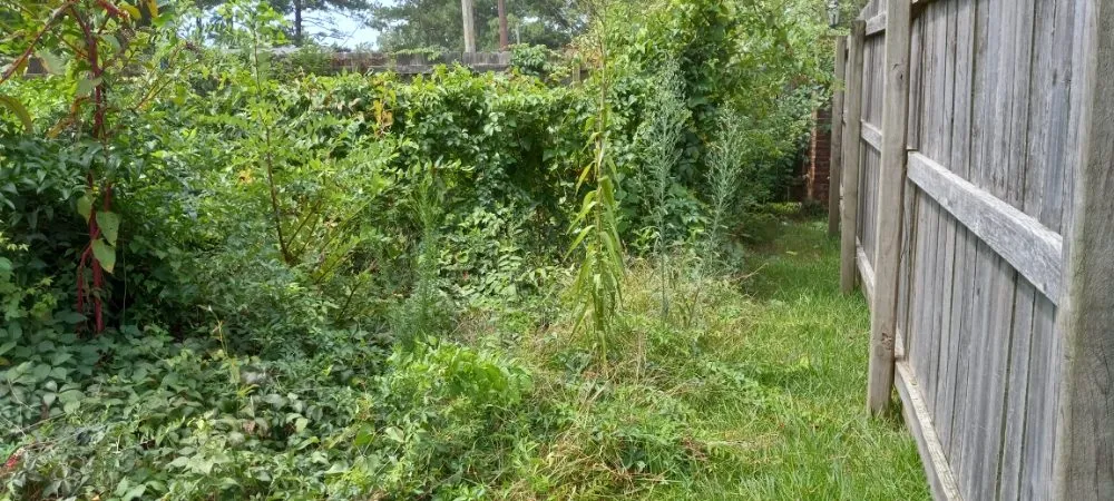 Professional outdoor landscaping in Troy, AL - Personal Touch Lawncare