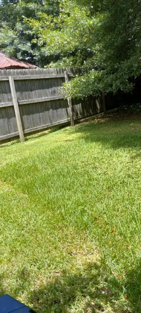 Expert outdoor landscaping with custom design in Troy, AL by Personal Touch Lawncare