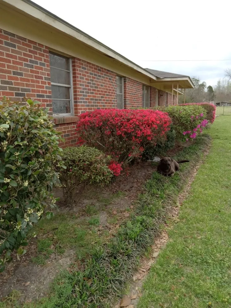 Professional outdoor landscaping experts serving Troy, AL - Personal Touch Lawncare