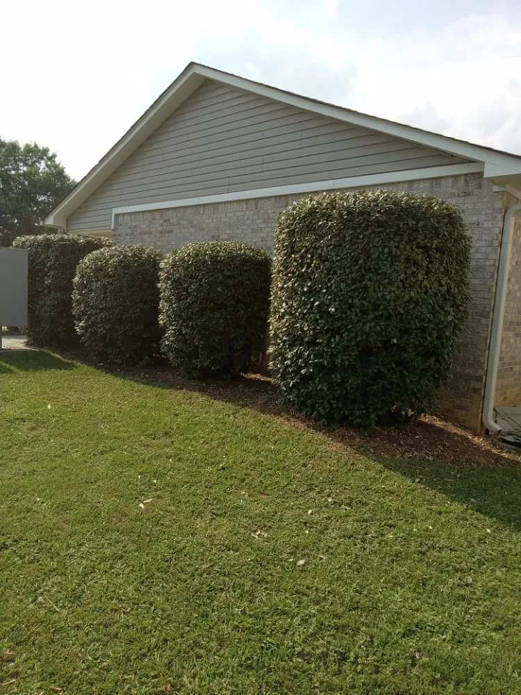 Affordable lawn care service in Troy, AL by Personal Touch Lawncare