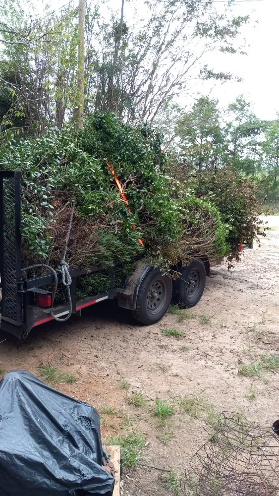 Custom yard cleanup service in Troy, AL by Personal Touch Lawncare