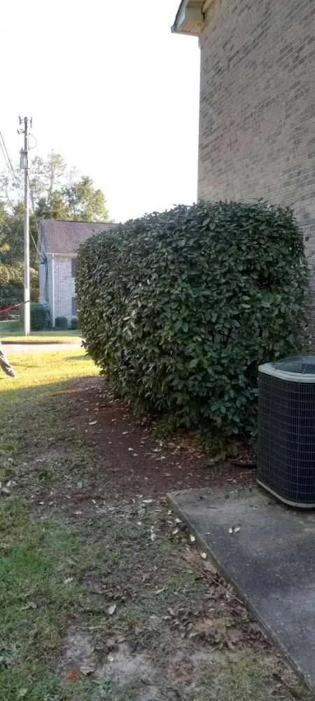 Expert garden landscaping in Troy, AL - Personal Touch Lawncare