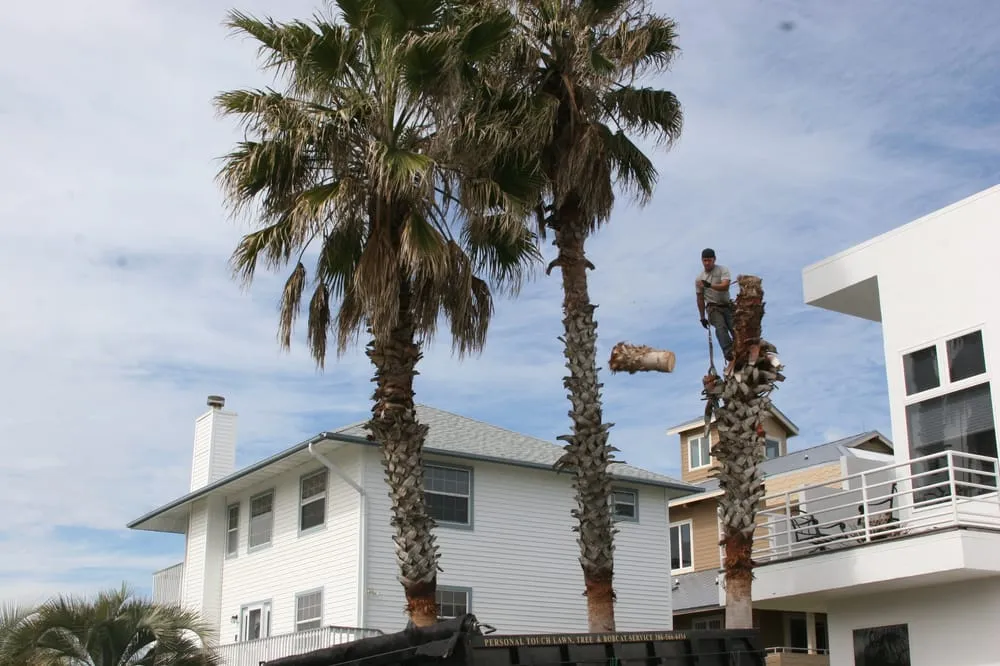 Top-rated garden landscaping in Port Orange, FL - Personal Touch