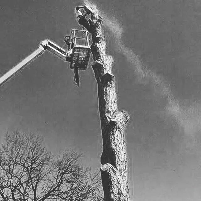 Reliable landscape design near you in New Smyrna Beach, FL by Personal Touch Property Services