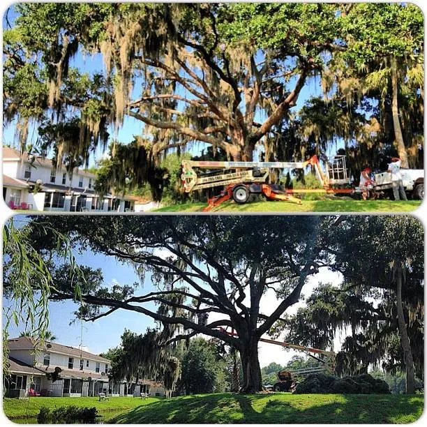 Custom landscape installation experts serving New Smyrna Beach, FL - Personal Touch Property Services