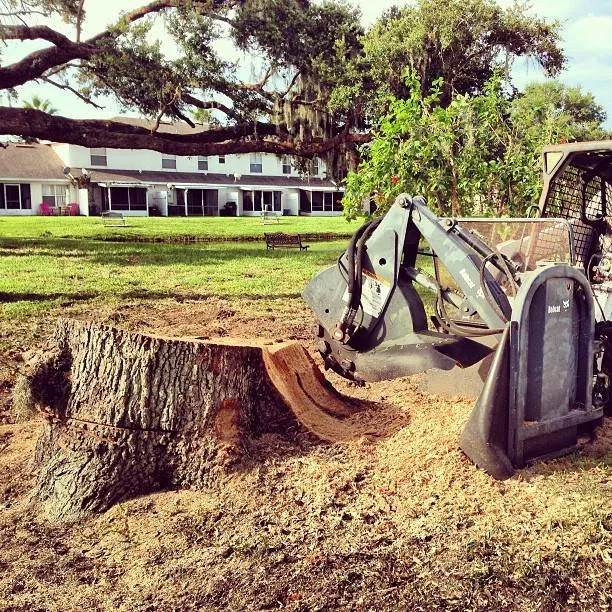 Reliable yard cleanup service for year-round maintenance across New Smyrna Beach, FL - Personal Touch Property Services