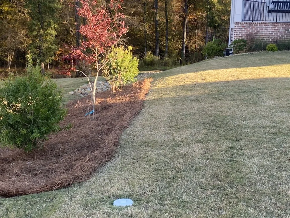 Expert yard maintenance in Evans, GA by Personalized Lawn Care & Gardens