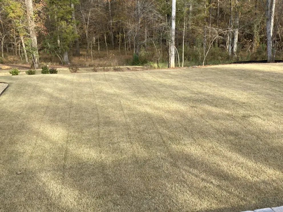Top-rated yard cleanup service for homes across Evans, GA - Personalized Lawn Care & Gardens