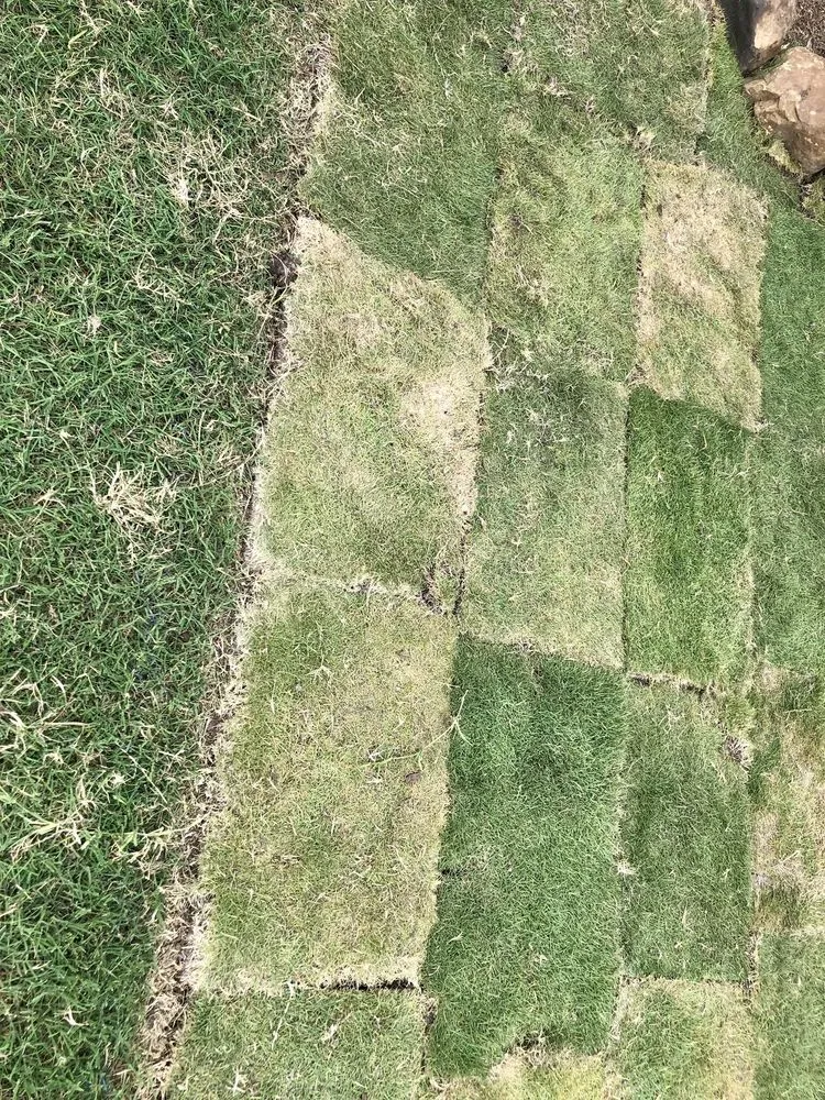 Professional garden landscaping near you across Rockwall, TX - Perspectiv Gardens