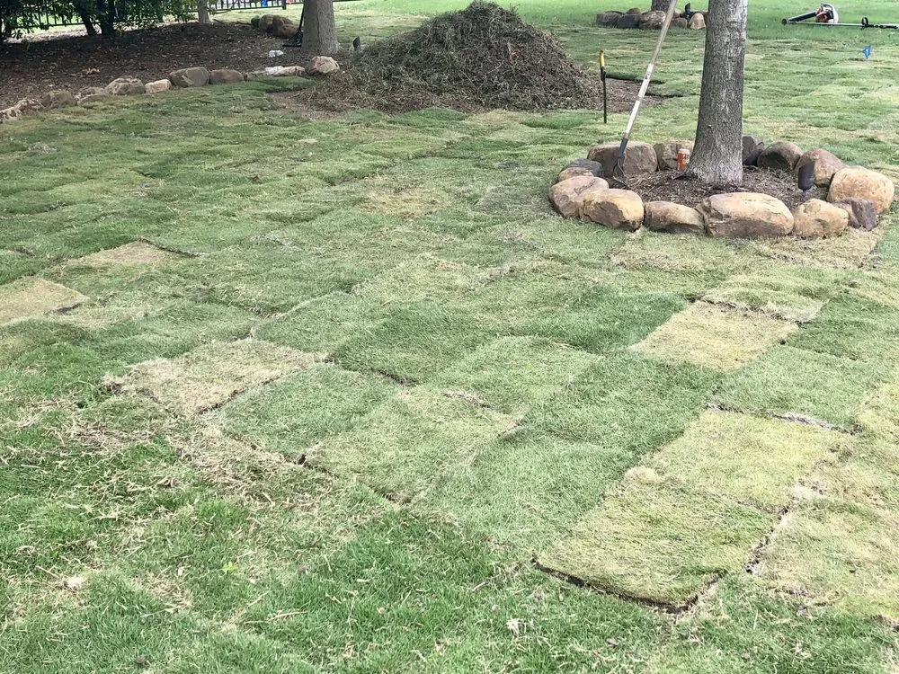 Trusted yard maintenance for beautiful yards across Rockwall, TX - Perspectiv Gardens