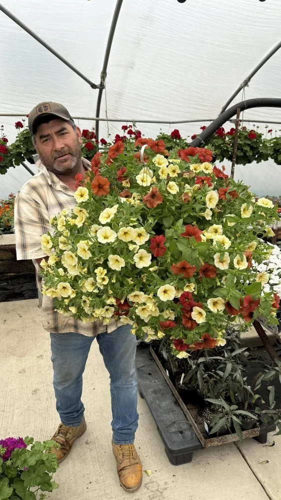 Reliable landscape installation experts serving Peru, IL - Peru Greenhouses & Landscaping