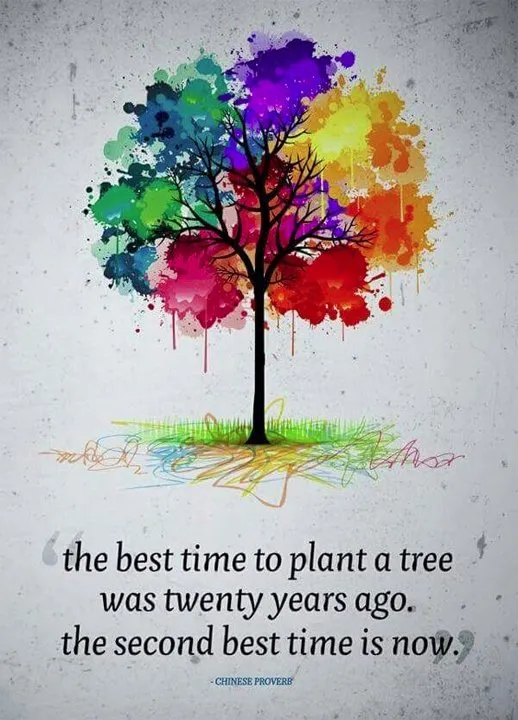 Trusted garden landscaping for beautiful yards in Peru, IL by Peru Greenhouses & Landscaping