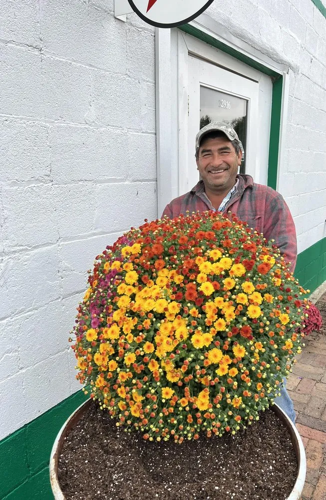 Trusted residential landscaping for beautiful yards across Peru, IL - Peru Greenhouses & Landscaping