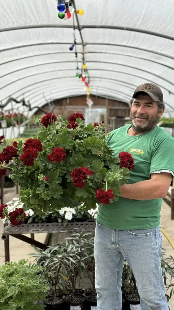 Expert landscape installation in Peru, IL - Peru Greenhouses & Landscaping