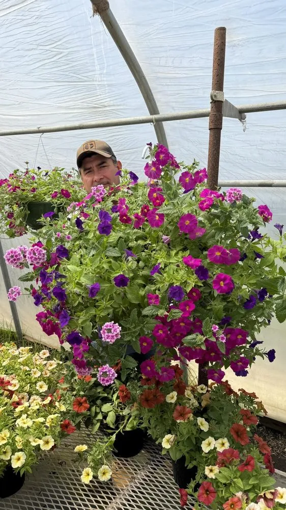 Custom landscape design in Peru, IL by Peru Greenhouses & Landscaping