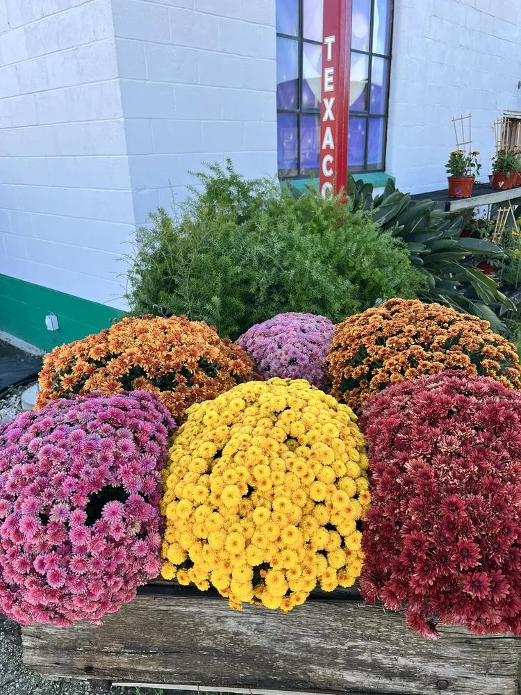 Affordable garden landscaping experts serving Peru, IL - Peru Greenhouses & Landscaping