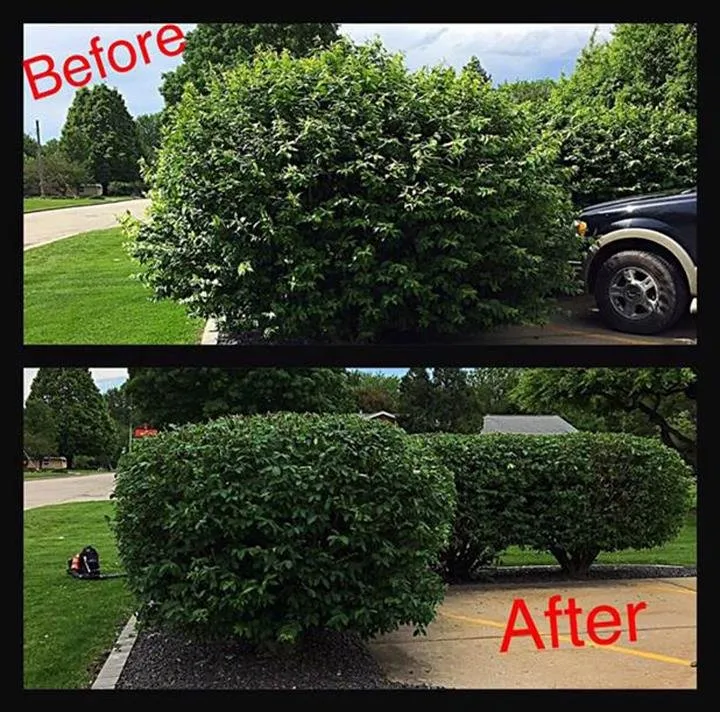 Reliable landscape installation experts serving Peru, IL - Peru Greenhouses & Landscaping