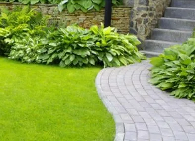 Trusted lawn mowing service in Morganville, NJ - Pesce Landscaping