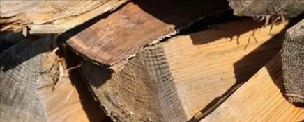 Professional yard cleanup service near you across Morganville, NJ - Pesce Landscaping