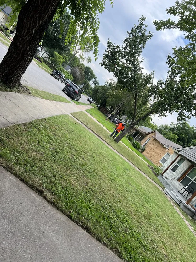 Professional garden landscaping in Grand Prairie, TX by Pesina Landscaping